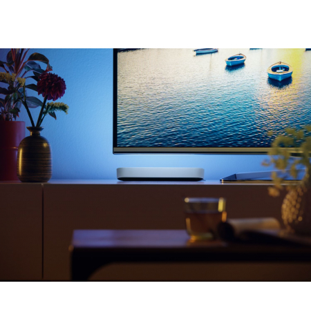 Philips Hue White   Color Amb. Play • White