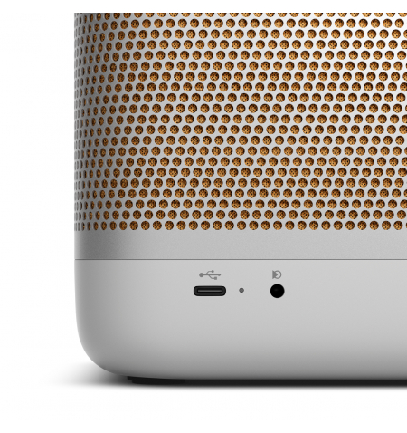 Bang   Olufsen BeoPlay Beolit 20 • Gray Mist