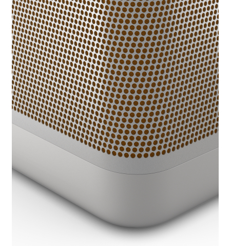 Bang   Olufsen BeoPlay Beolit 20 • Gray Mist