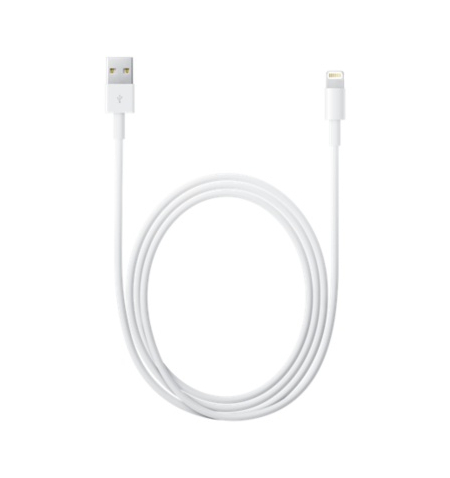 Apple Lightning to USB Cable • 2m