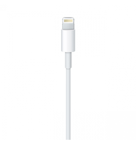 Apple Lightning to USB Cable • 2m