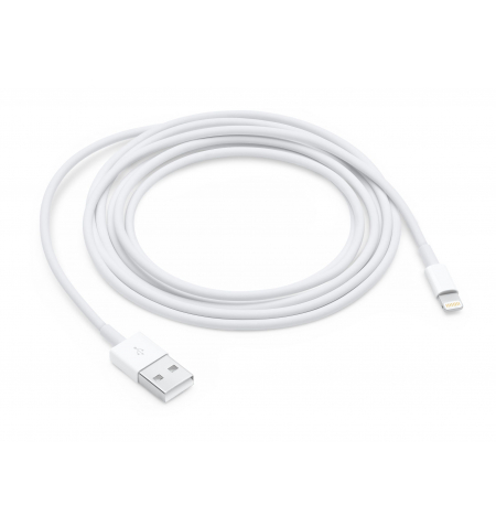 Apple Lightning to USB Cable • 1m