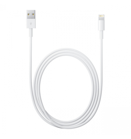 Apple Lightning to USB Cable • 1m