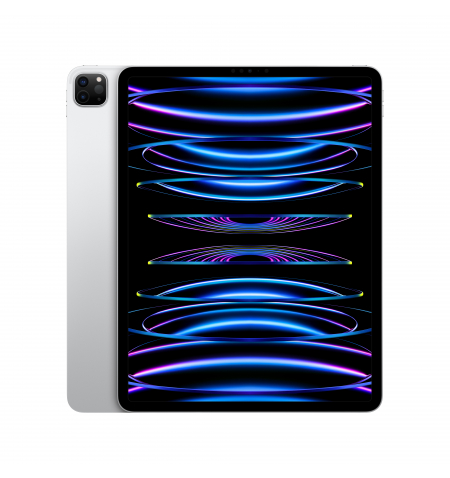 iPad Pro 12,9"  6th. Gen  WiFi 256GB • Silver