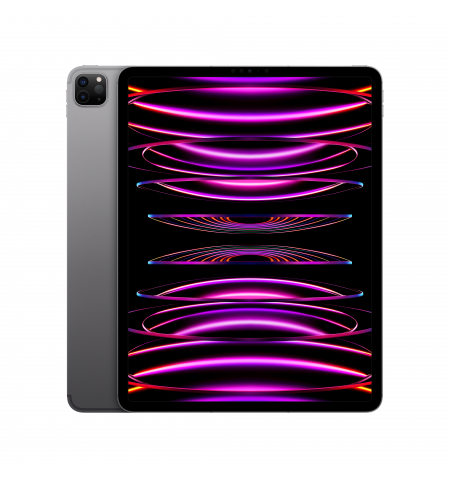 iPad Pro 12,9"  6th. Gen  WiFi+Cellular • 256GB • Space Gray