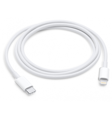 Apple Lightning to USB C Cable • 1m
